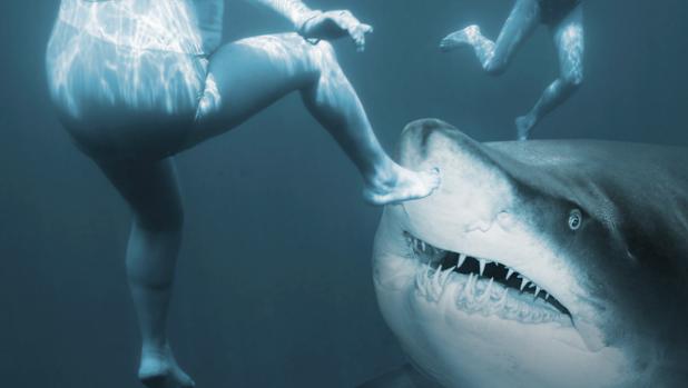 Recreación de unos bañistas nadando cerca de un tiburón