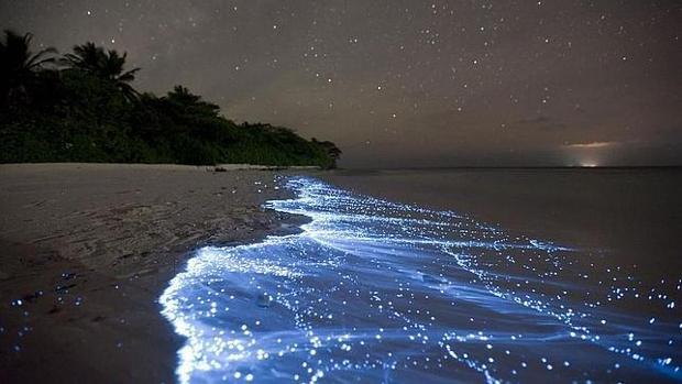 Una playa con el fenómeno de las «lágrimas azules»
