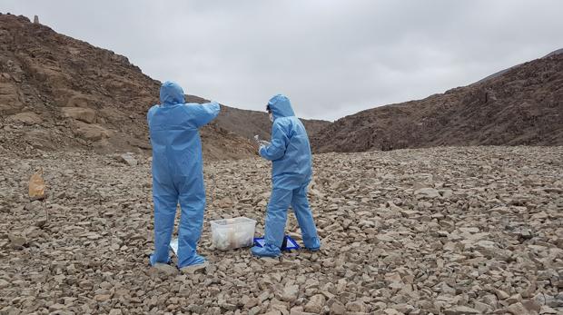 Dos investigadores recogen muestras en el desierto de Atacama. El hallazgo implica que en Marte también podrían sobrevivir microbios y ser transportados por el viento