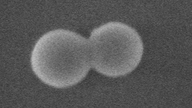 [Imagen: Nanoparticularotatoria-kkLG--620x349@abc.jpg]