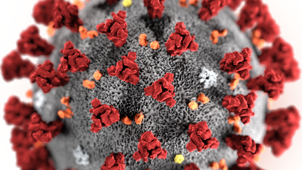 Los expertos creen que el coronavirus ha llegado para quedarse 