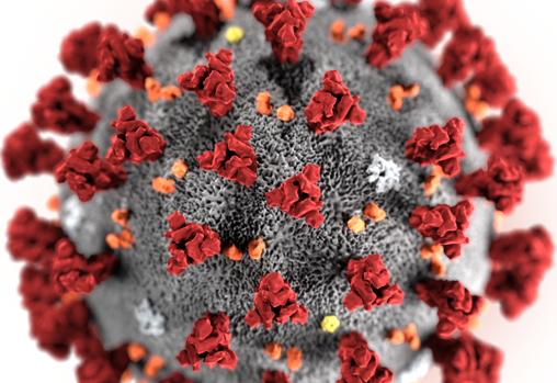 Representación del SARS-CoV-2