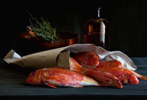«Salmonetes», de Javier Campano