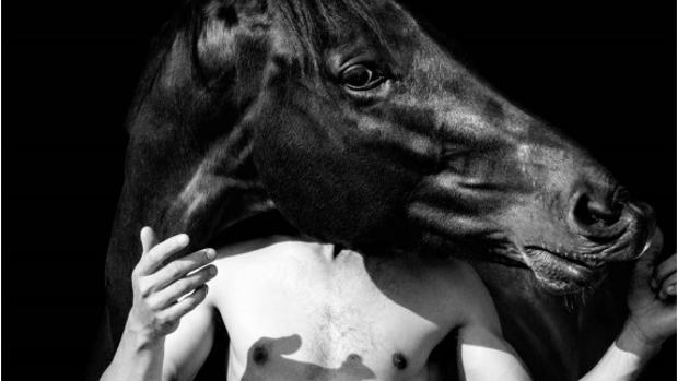 Obra de la muestra «Los unicornios existen»