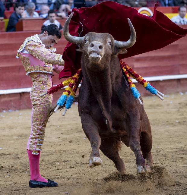 La firmeza de Paco Ureña en el inicio de faena al cuarto toro