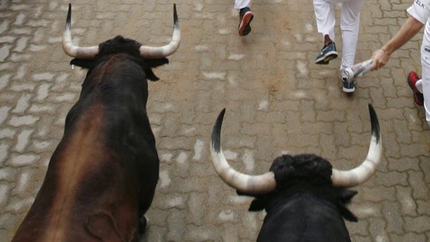 Momento en el que dos toros entran a la plaza