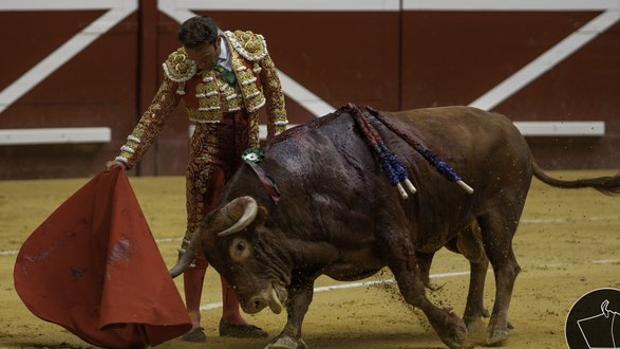 Antonio Ferrera, en un relajado muletazo