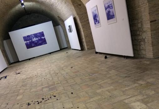 Detalle del montaje de «Podría ser un avestruz pero son dos. Hola, el mar se ha roto»