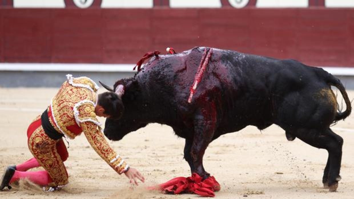 Gonzalo Caballero, tras caer herido en Las Ventas