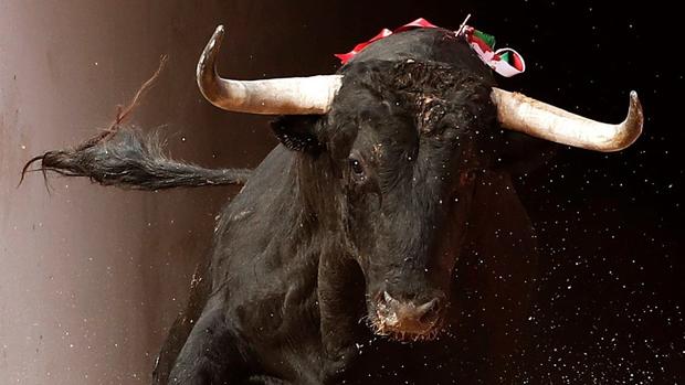 Estas son las corridas de toros que se lidiarán en San Fermín 2020