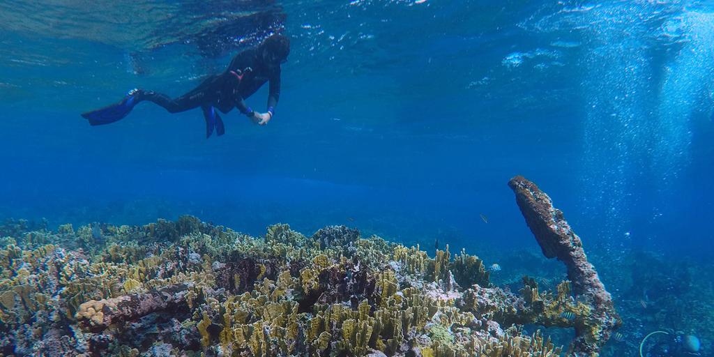 Un pescador encuentra un pecio de más de dos siglos en el sureste de México