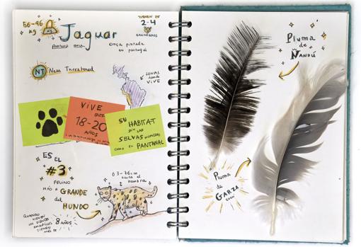 CUADERNOS DE CAMPO. «Panteras» incluye los apuntes tomados por Unai Canela durante los viajes con su padre