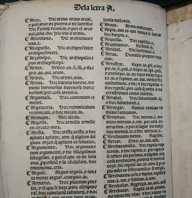 diccionario de la lengua espanola definicion de mula diccionario de la lengua espanola definicion de mula