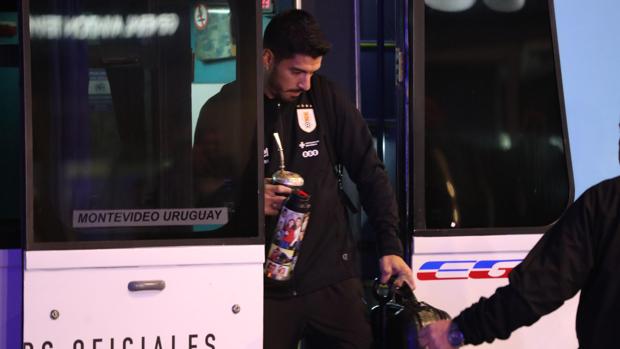 Suarez Tea Uruguay se lleva a Rusia 180 kilos de yerba mate