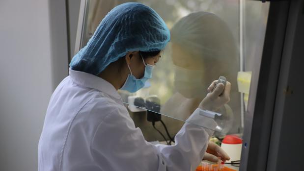laboratorio_coronavirus-kALE--620x349@abc.jpg