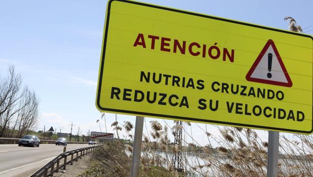 Señal a las afueras de Peralbillo, en Ciudad Real