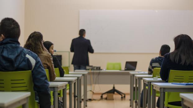 Las necesidades de formación serán diagnosticadas de la mano del propio tejido empresarial
