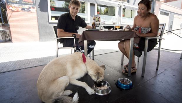 Un restaurante para comer con tu perro