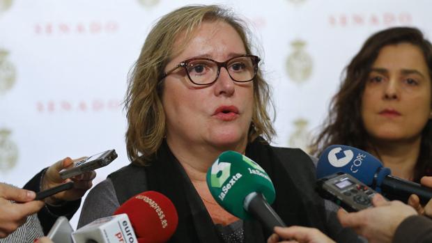 Celia Cánovas se dirige a los medios en el Senado