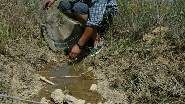 La sequía sigue siendo severa en la margen derecha del Ebro