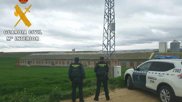 Dos agentes junto a una de las explotaciones agrarias en la que robó el detenido
