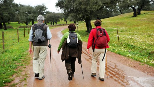 Peregrinos hacia el Camino de Santiago