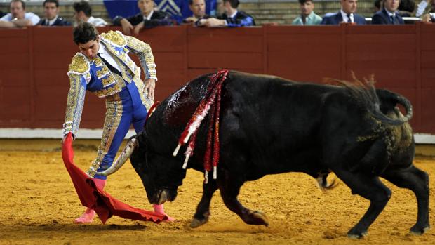 Cayetano abrirá el cartel de Burgos el 29 de junio junto a Manzanares y Curro Díaz