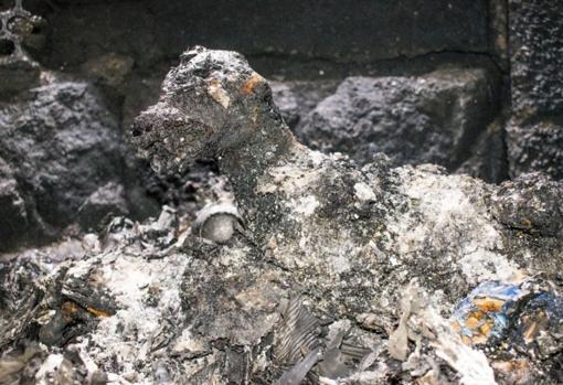 Cadáver calcinado de un perro en el criadero