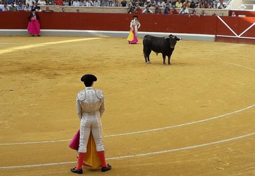 Aquilino Girón, en primer término, observa a «Cachalote», un peligroso novillo