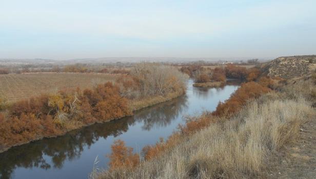 Las localizaciones están en las márgenes del Canal Real del Jarama (en la imagen, a su paso por Borox)