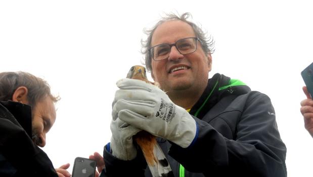 Torra, en el momento de liberar un cernícalo, en la cima del Puigsacalm (Gerona)
