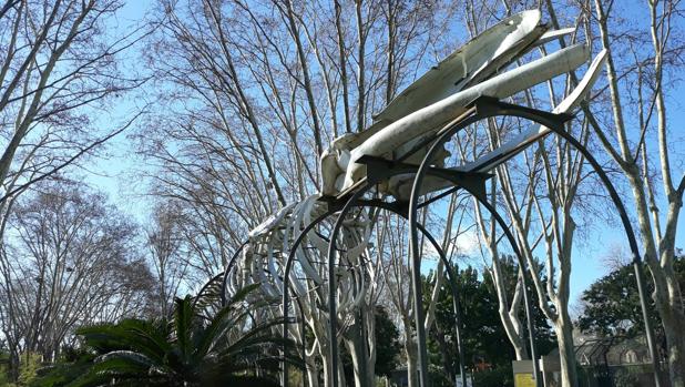 El esqueleto de la ballena en el zoo de Barcelona