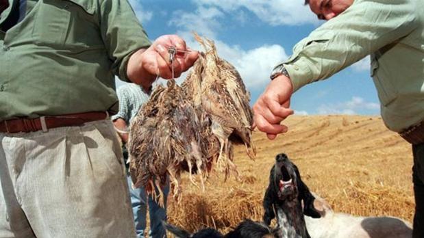Cazadores con sus perros muestran los trofeos de caza menor