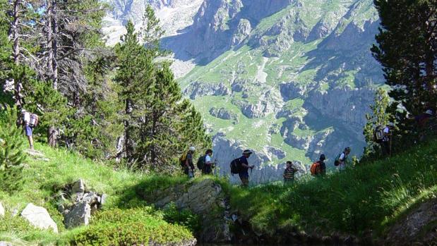 Paisajes de bosque y montaña en el Pirineo aragonés