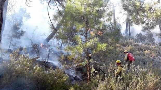Algunos de los efectivos del servicio de extinción de incendios