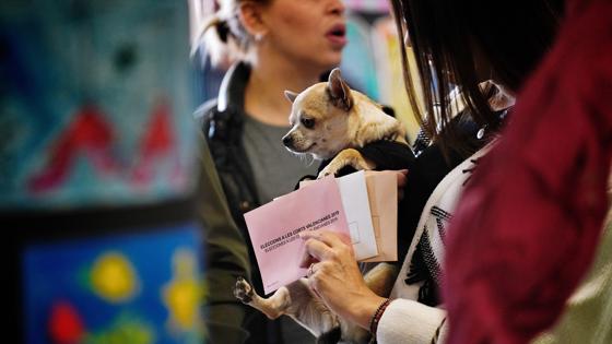 Una joven acude en Valencia a votar con su mascota