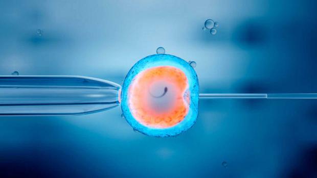 Fecundación in vitro