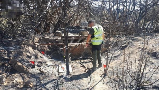 Un agente de la BIIF en el terreno del incendio