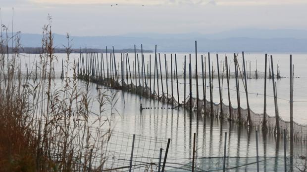 Imagen de la Albufera de Valencia