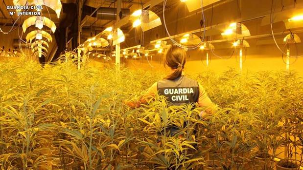 Panorámica de una de las naves industriales preparadas para cultivar grandes cantidades de cannabis