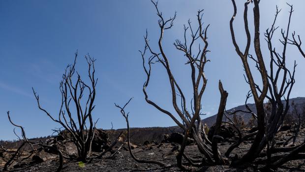 Los trabajos para extingir el incendio aún se prolongarán varios días