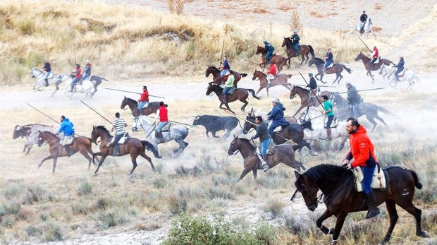Segundo de los encierros de Cuéllar