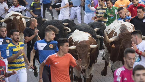 Varios jóvenes corren delante de los toros en uno de los encierros de la «Pamplona chica» del año pasado