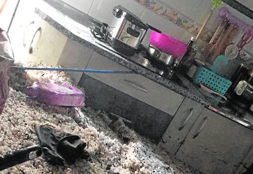 Destrozos por el granizo en una vivienda baja