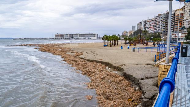 Imagen de archivo de la playa de El Postiguet