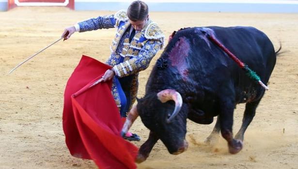 Alejandro Mora con un «jandilla»