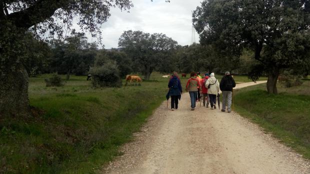 Los paseos descubren lugares singulares de la provincia
