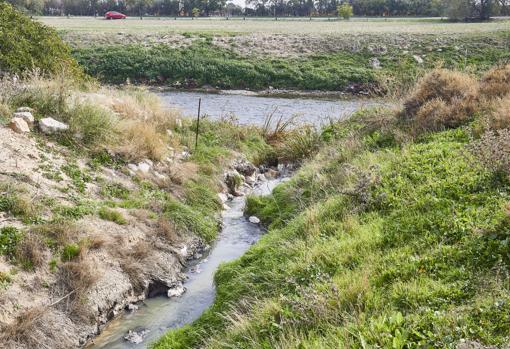 Aguas fecales sin tratar en el Manzanares