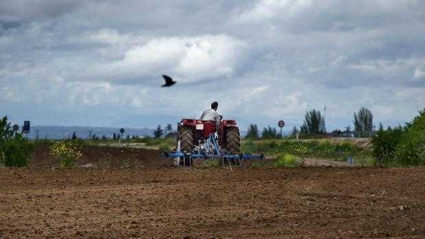 Un agricultor trabaja una de las numerosas explotaciones agrícolas de Castilla-La Mancha