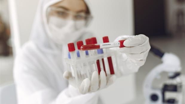 Imagen difundida por el centro tecnológico ITENE con la información del «Covidense»